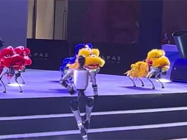 全红婵凌晨发文：对错都是我的脚印